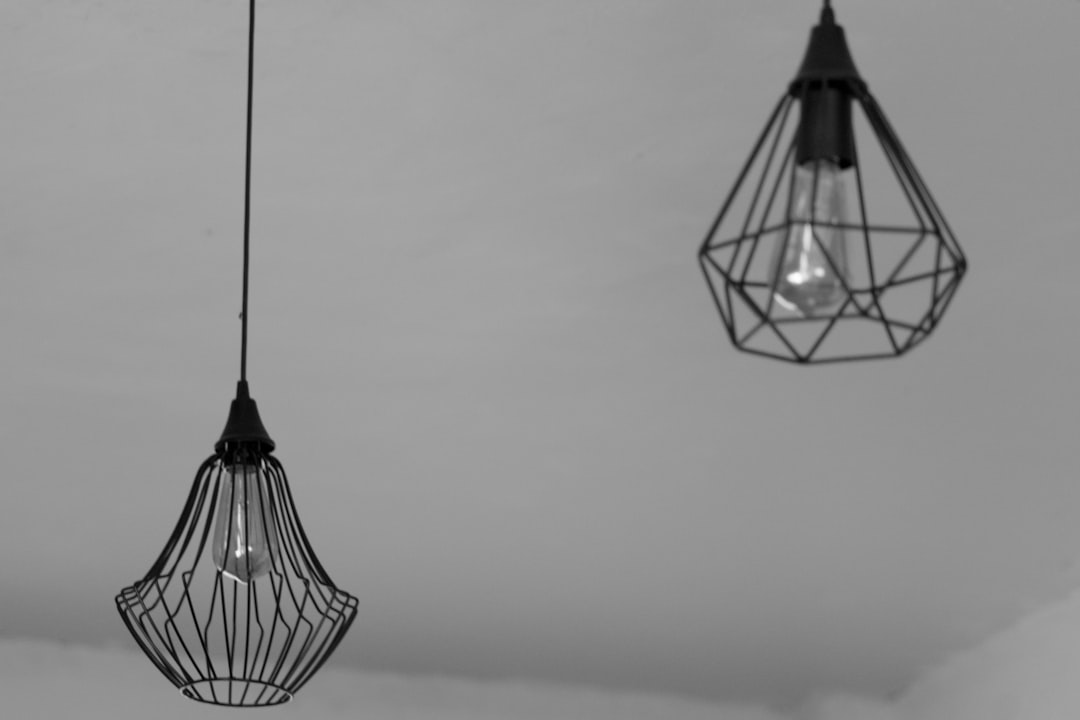 Photo wire mesh pendant light
